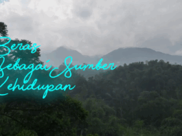 Beras sebagai Sumber Kehidupan